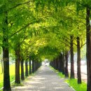 아름 한의원 이미지