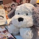 멍뭉이샵 이미지