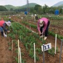 실버농장 이미지