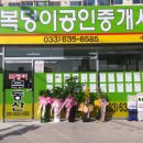 복덩이공인중개사사무소 네이버블로그