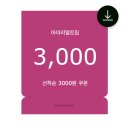 신세계자동차공업 주식회사 | 튀르키예 이스탄불 여행 코스 준비물 꿀팁 총정리 - 공항 픽업 atm 시내 이동 숙소 호텔 추천