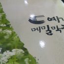 예가막국수