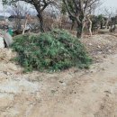 금선농장 이미지