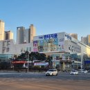 일리아플라워 이미지