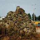 성읍2리 이미지