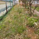 곤의농장 이미지