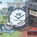 국민 청원이 사실상 무용지물인 이유 이미지