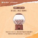 대전국제여행사 이미지