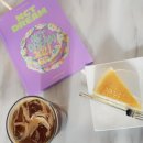 카페테디(CAFE Teddy) 이미지