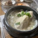 거북약초