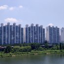 성원아파트 앞 이미지