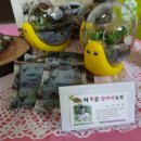 김인현 농장 이미지