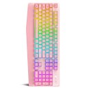 보글보글 이미지