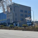 [마을배움터] 아로마테라피 | 춘천아로마 팜스힐링테라피에서 전신관리 후기