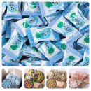 옛날누룽지 이미지