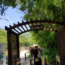 별미손칼국수 이미지