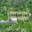 도학야영장 이미지