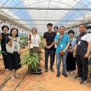 철민농장 네이버블로그