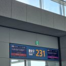 솔나무호스텔 | 🌃뉴욕 DAY 1🗽미국 입국심사 | 자유의 여신상 | 타임스퀘어 | 탑오브더락