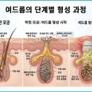 광교아쿠아필, 제대로 효과를 보려면?