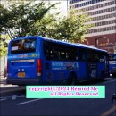 지산목련약국 이미지