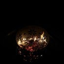 삼포길 풀빌라 이미지