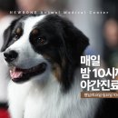 뉴본동물의료센터 이미지