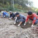 무주읍사무소 이미지