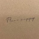 플레르퍼피 | 심신안정에 도움을 주는 강아지 디퓨저 추천 : 플레르퍼피