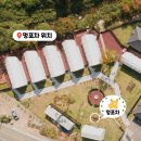 멍포차 이미지