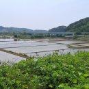 2026년 5월 24일 충청투어 326번째 보령 주산 신구리 신구저수지 이미지