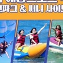 써니사이드업 이미지