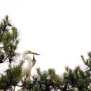엄마밥 - 서구 | 엄마밥