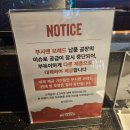 부메랑펜션 | 아웃백 런치 메뉴 부메랑 쿠폰 카드할인으로 즐긴 후기