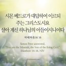 한하람 이미지