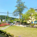 청풍목장 이미지