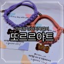 8월의 강아지 | 가벼운 강아지 목걸이 추천 또르르아트 강아지 인식표 이름표 후기