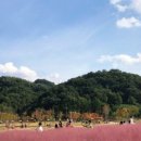 악양생활체육공원 이미지