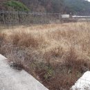 영천농장축사 이미지