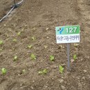 광진농장 이미지