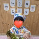 둔전제일 초등학교 | 둔전 용인포곡삼성쉐르빌어린이집추천 금평마을 둔전힐스테이트 푸른산i어린이집