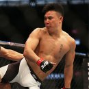 국제UFC태권도