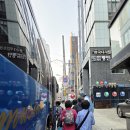 마음동천 | 당일치기여행 서천 국립생태원+장항 스카이워크 등 로망스투어