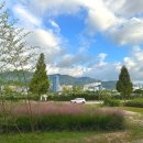 대나무공원 화장실 이미지