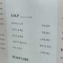 밀스칼프 이미지