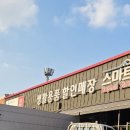 번영로206번길 이미지