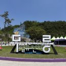 삼화광고 | 동해 무릉별유천지 라벤더축제 셔틀 주차 정보 방문 후기