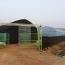 대주농장 이미지