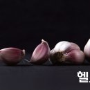 마늘 이미지