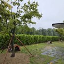 펫아울렛 이미지